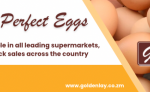 Goldenlay Agri Limited