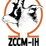 ZCCM Investment Holdings Plc