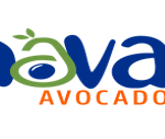 Nava Avocado Limited
